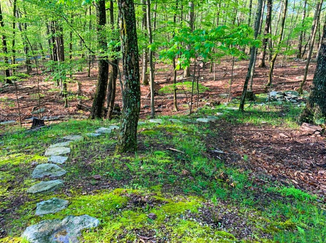 Chalet W Hot Tub, Large Deck, Grill, & Fast Wifi Berkeley Springs Exteriör bild